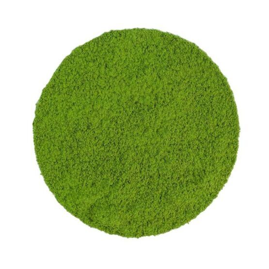 Japan Matcha One BIO 30g